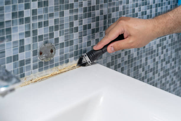 Best Mold Remediation  in Wrightsville, PA